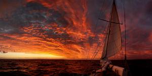 cruising sunset at sea