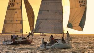 Sailboats Racing