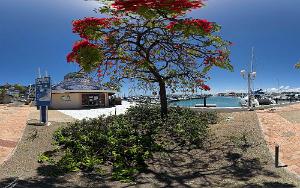 Port Moselle Marina, Noumea