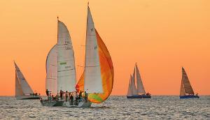 tangerine wind dream