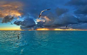 Dawn Showers South Lagoon