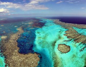 Barrier Reef