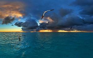 Dawn Showers South Lagoon