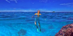 Red sea fan and Octopus at Ilot Mbe Kouen