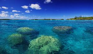 Coral heads in the Gadji anchorage