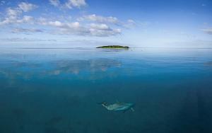 Snorkelling at Ilot Ua