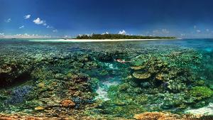 ua_ilot_snorkelling_3