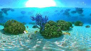 Coral Nursery, Ilot Mato Coral Nursery, Ilot Mato where young fish and invertebrates begin growing