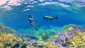 Snorkelling at Ilot Mato
