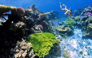 Snorkelling at Ilot Ua