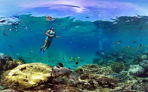 snorkelling at Ilot Maitre
